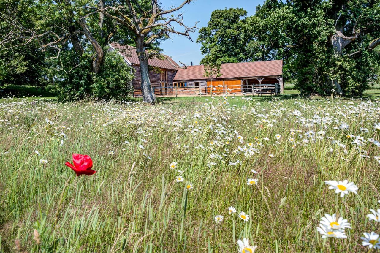 Bed and Breakfast South Park Farm Barn Andover Zewnętrze zdjęcie