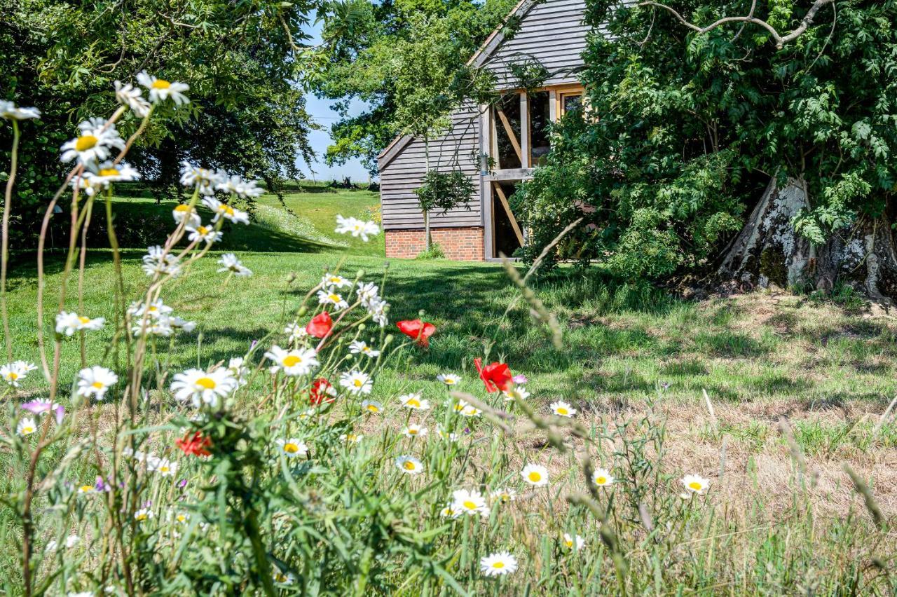 Bed and Breakfast South Park Farm Barn Andover Zewnętrze zdjęcie